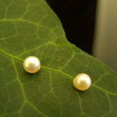 oorbelknopjes in goud