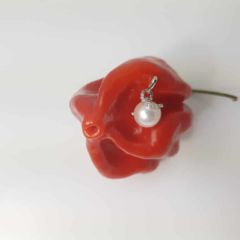gouden hanger met echte zoetwaterparel