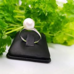 eenvoudig model witgouden ring