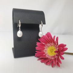 inhaakmodel pareloorbellen in zilver